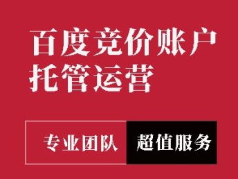 圖 企業(yè)網(wǎng)站建設(shè) 網(wǎng)絡(luò)推廣 代運(yùn)營(yíng)等服務(wù) 北京網(wǎng)站建設(shè)推廣